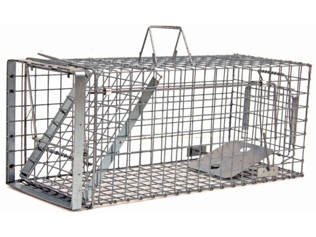 Profesionální past na kuny a kočky TRAP H80x34x34