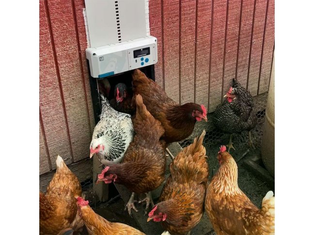 Komplet automatického otevírání a zavírání kurníku CHICKEN GUARD ALL IN ONE SOLAR