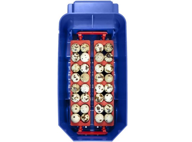 Plně automatická líheň na vejce BOROTTO LUMIA 8 EXPERT