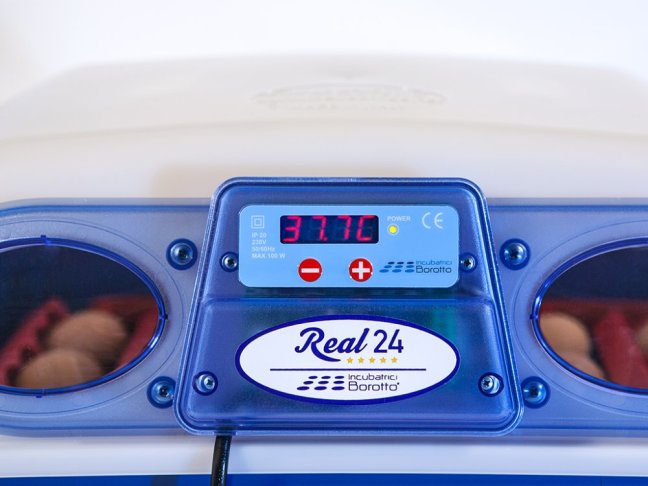 Automatická líheň na vejce BOROTTO REAL 24 AUTOMATIC