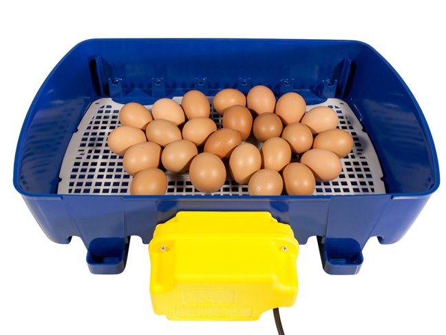 Plně automatická líheň na vejce BOROTTO REAL 24 EXPERT