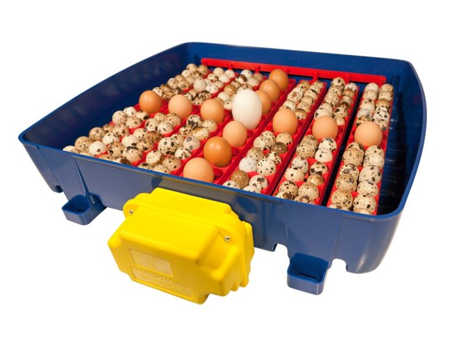 Automatická líheň na vejce BOROTTO REAL 49 AUTOMATIC