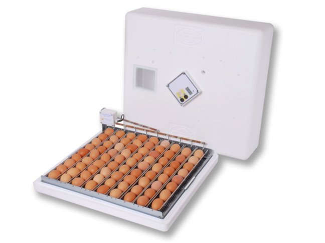 Automatická líheň na vejce PL MASCHINE HU100FSK