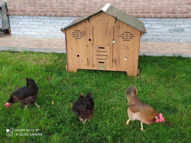 Laminátový kurník pro slepice Polly Farm 2XL