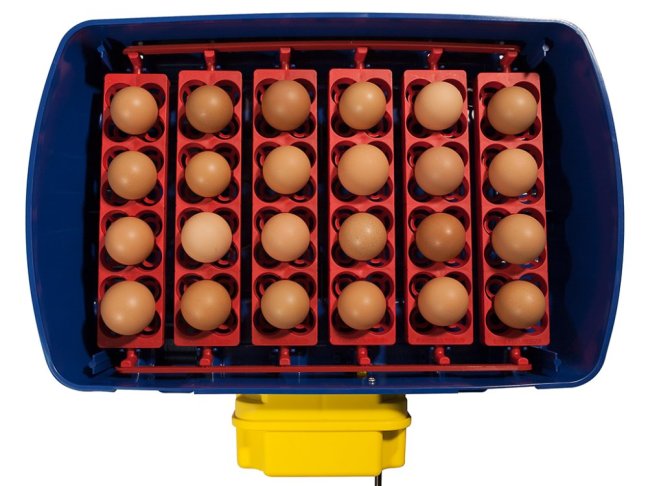 Plně automatická líheň na vejce BOROTTO REAL 24 EXPERT