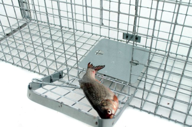 Profesionální past na lišky, kuny, vydry a kočky TRAP ST130x34x34V2