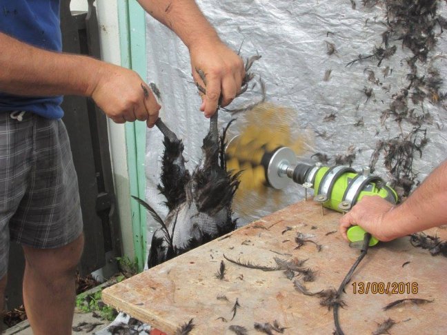 Škubačka drůbeže na vrtačku JOSAS JO24