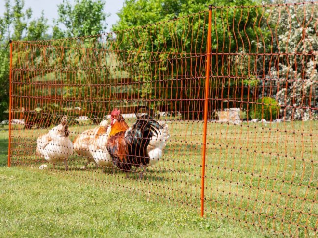 Vodivá síť pro drůbež KERBL 292271 106 cm x 50 m / 2 hroty, oranžová