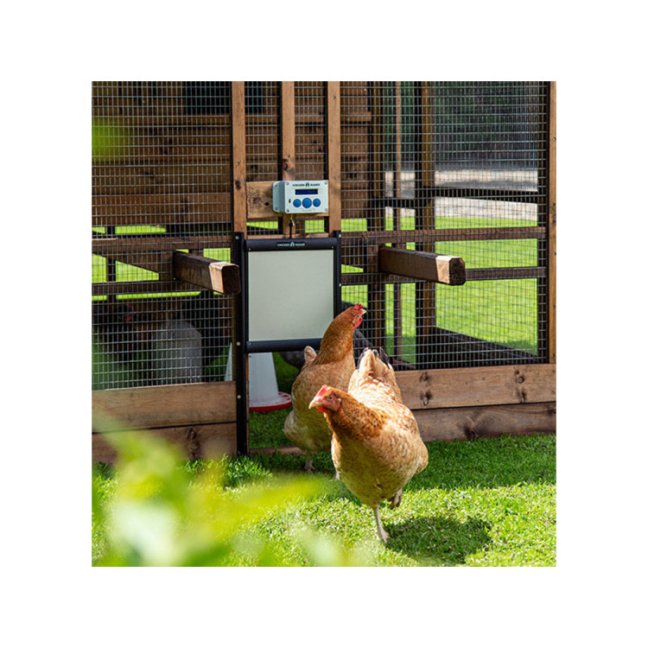 Bezpečnostní dvířka s pojistkou ke kurníku CHICKEN GUARD DOOR 25x30