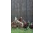 Nevodivá síť pro drůbež KERBL Premium 122 cm x 50 m / 2 hroty