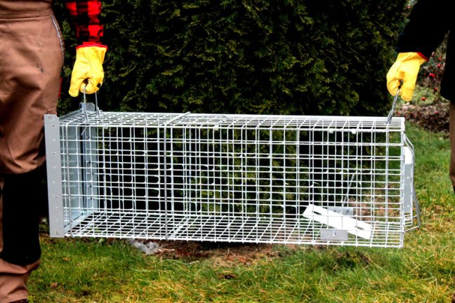 Profesionální past na lišky, kuny, vydry a kočky TRAP ST118x34x34V1