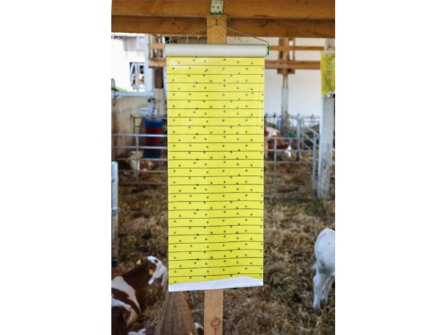 Mucholapka se závěsem KERBL 30 cm x 7 m