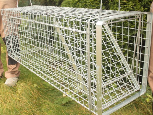 Profesionální past na kuny a kočky TRAP H80x34x34