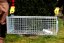 Profesionální past na lišky, kuny, vydry a kočky TRAP ST118x34x34V1