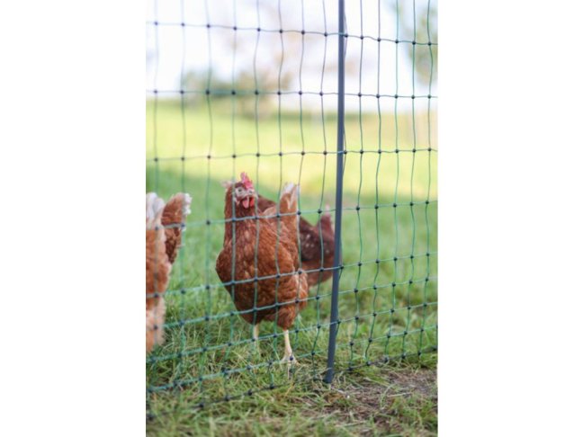 Nevodivá síť pro drůbež KERBL Premium 122 cm x 50 m / 2 hroty