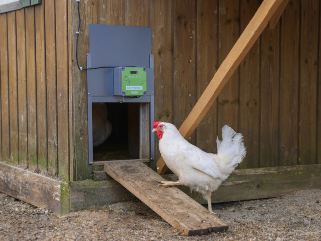 Komplet automatického otevírání a zavírání kurníku KERBL 70592 EASY PROTECT 44x43 R