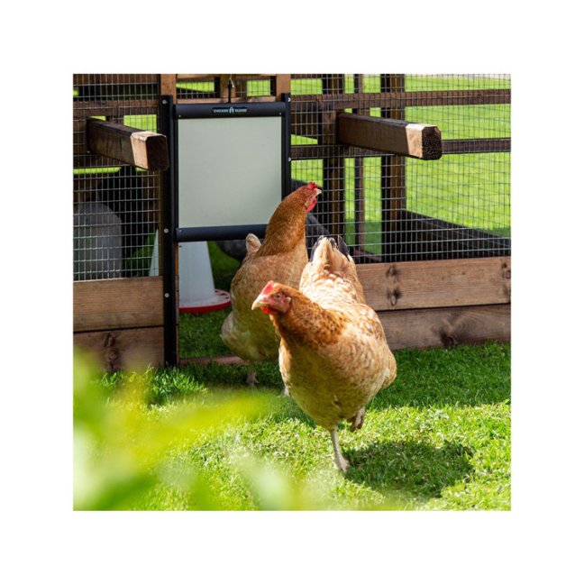 Komplet automatického otevírání a zavírání kurníku CHICKEN GUARD PRO 25 x 30 cm