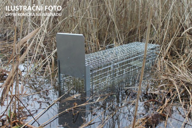 Profesionální past na lišky, kuny, vydry a kočky TRAP ST130x34x34K