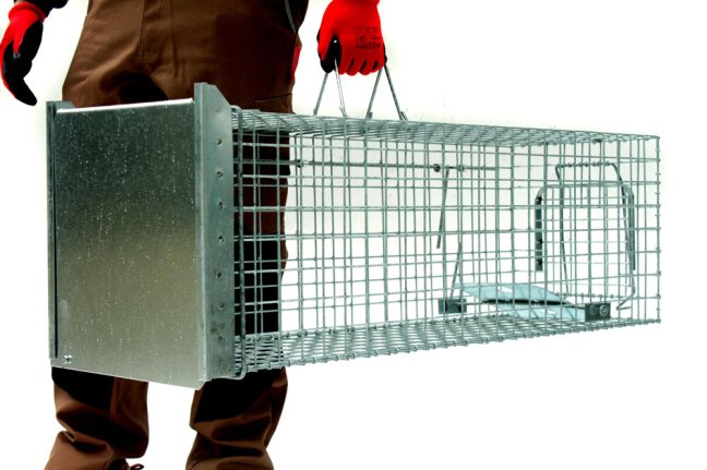 Profesionální past na lišky, kuny, vydry a kočky TRAP ST118x34x34V1