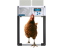 Komplet automatického otevírání a zavírání kurníku CHICKEN GUARD ALL IN ONE
