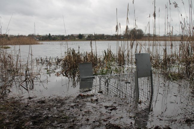 Profesionální past na lišky, kuny, vydry a kočky TRAP ST130x34x34V2