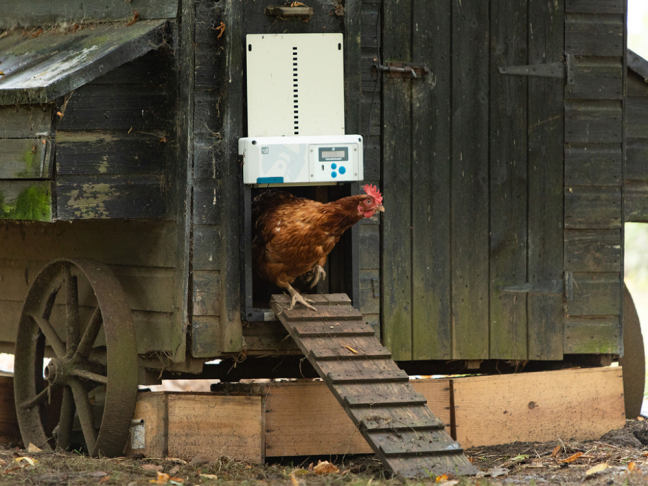 Komplet automatického otevírání a zavírání kurníku CHICKEN GUARD ALL IN ONE