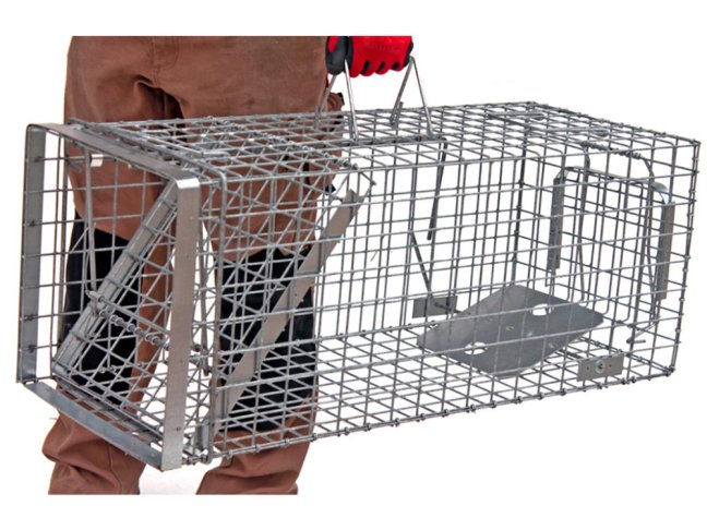 Profesionální past na kuny a kočky TRAP H80x34x34