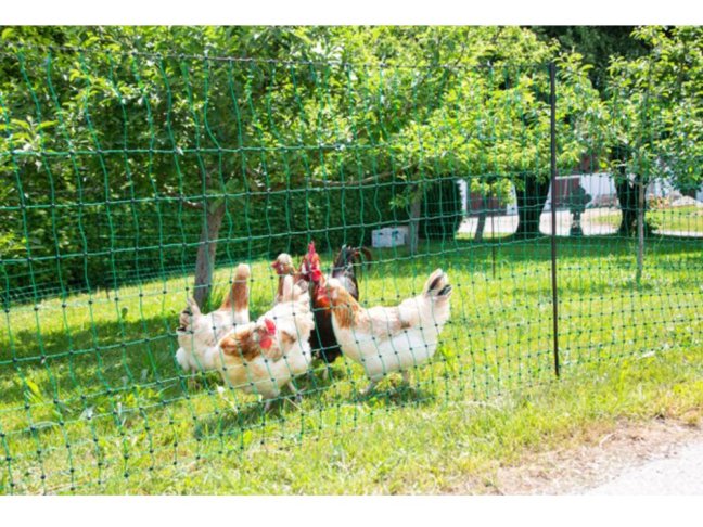 Nevodivá síť pro drůbež KERBL 106 cm x 50 m / 2 hroty