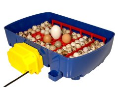 Automatická líheň na vejce BOROTTO REAL 24 AUTOMATIC