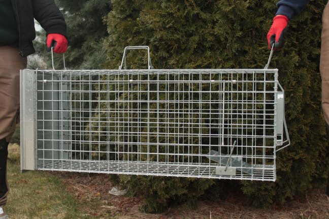 Profesionální past na lišky, kuny a kočky TRAP ST105x34x42
