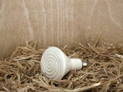 Infražárovka keramická KERBL 225287 OEM 250 W