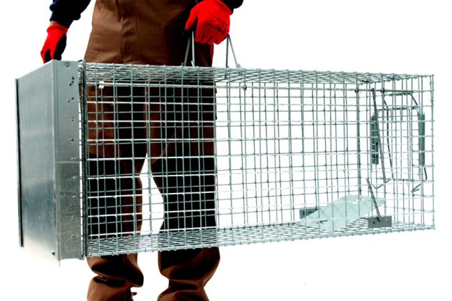 Profesionální past na lišky, kuny a kočky TRAP ST105x34x42