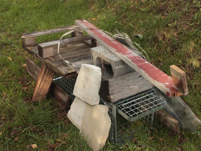 Profesionální past na kuny a kočky TRAP H80x34x34