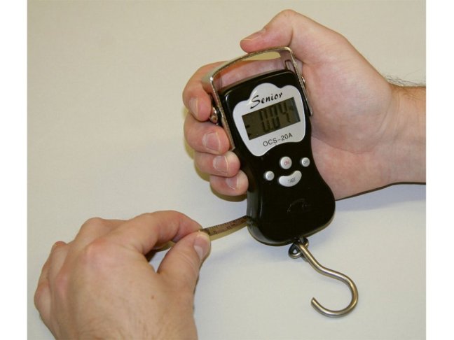 Digitální závěsná váha KERBL DIGISCALE do 50 kg