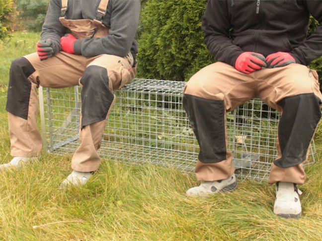 Profesionální past na kuny a kočky TRAP H80x34x34