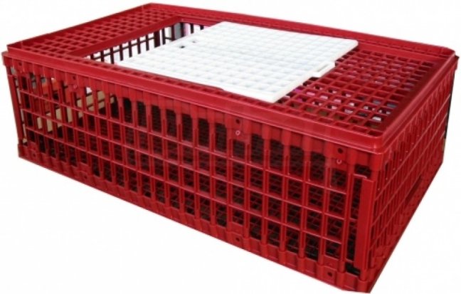Přepravní box pro drůbež plastový vyšší