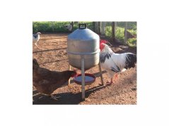 Barelová napáječka pro drůbež Giove 30 l