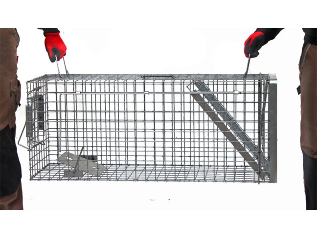 Profesionální past na kuny a kočky TRAP H80x34x34