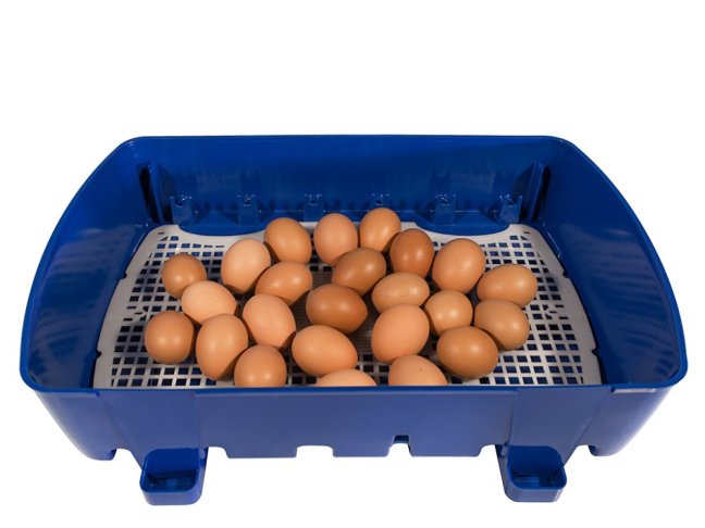Líheň na vejce BOROTTO REAL 24