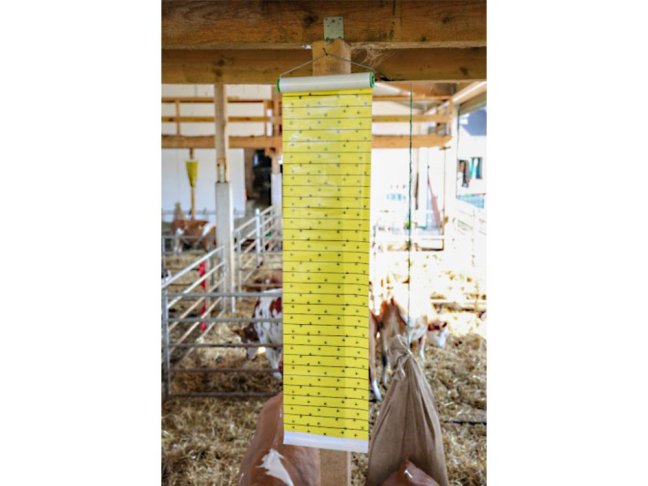 Mucholapka se závěsem KERBL 30 cm x 9 m