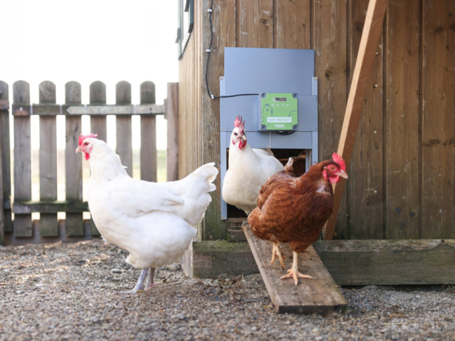 Komplet automatického otevírání a zavírání kurníku KERBL 70592 EASY PROTECT 44x43 R